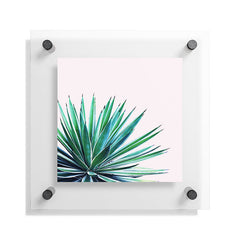 83 Oranges Agave Love Floating Acrylic Print