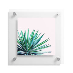 83 Oranges Agave Love Floating Acrylic Print