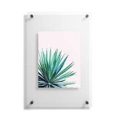 83 Oranges Agave Love Floating Acrylic Print