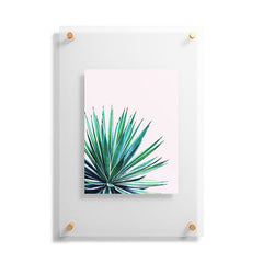 83 Oranges Agave Love Floating Acrylic Print