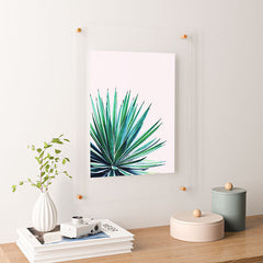 83 Oranges Agave Love Floating Acrylic Print