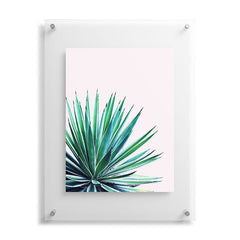 83 Oranges Agave Love Floating Acrylic Print