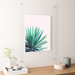 83 Oranges Agave Love Floating Acrylic Print