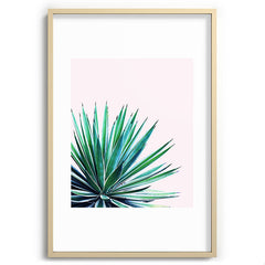83 Oranges Agave Love Recessed Framing Rectangle
