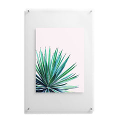 83 Oranges Agave Love Floating Acrylic Print