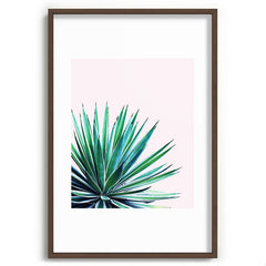 83 Oranges Agave Love Recessed Framing Rectangle