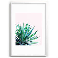 83 Oranges Agave Love Recessed Framing Rectangle