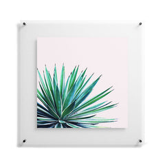83 Oranges Agave Love Floating Acrylic Print