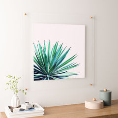 83 Oranges Agave Love Floating Acrylic Print