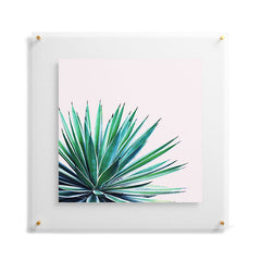 83 Oranges Agave Love Floating Acrylic Print