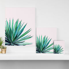 83 Oranges Agave Love Art Canvas