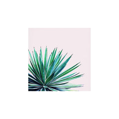 83 Oranges Agave Love Art Print