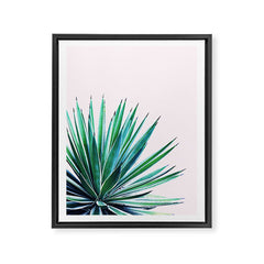 83 Oranges Agave Love Art Canvas