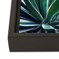 83 Oranges Agave Love Art Canvas