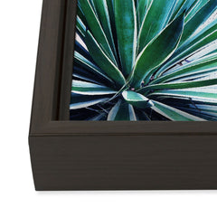 83 Oranges Agave Love Art Canvas