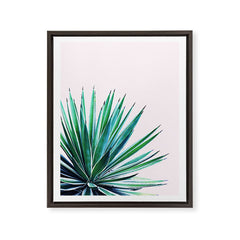 83 Oranges Agave Love Art Canvas