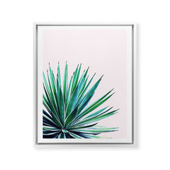 83 Oranges Agave Love Art Canvas