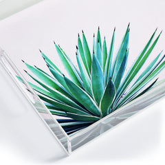 83 Oranges Agave Love Acrylic Tray