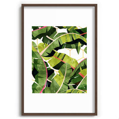 83 Oranges Banana Leaf Salad Recessed Framing Rectangle