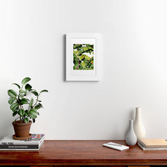 83 Oranges Banana Leaf Salad Framed Art Print