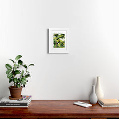 83 Oranges Banana Leaf Salad Framed Art Print