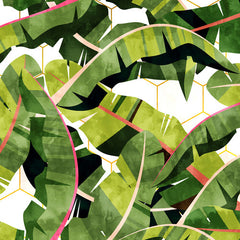 83 Oranges Banana Leaf Salad Wall Mural