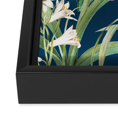 83 Oranges Blossom Botanical Art Canvas