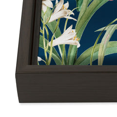 83 Oranges Blossom Botanical Art Canvas