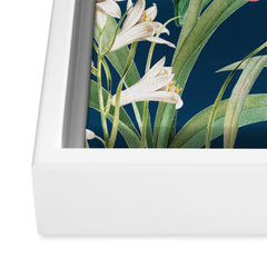 83 Oranges Blossom Botanical Art Canvas