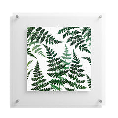 83 Oranges Botanical Bliss Floating Acrylic Print