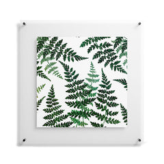 83 Oranges Botanical Bliss Floating Acrylic Print