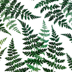 83 Oranges Botanical Bliss Wall Mural