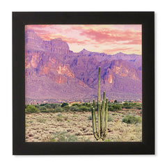 83 Oranges Cactus Sunset Framed Wall Art