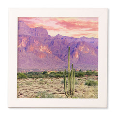 83 Oranges Cactus Sunset Framed Wall Art