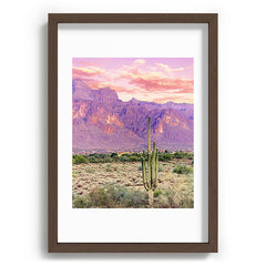 83 Oranges Cactus Sunset Recessed Framing Rectangle