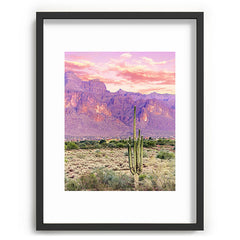 83 Oranges Cactus Sunset Recessed Framing Rectangle