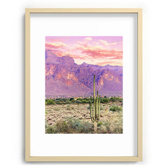 83 Oranges Cactus Sunset Recessed Framing Rectangle
