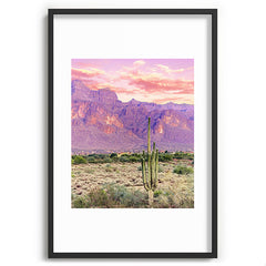 83 Oranges Cactus Sunset Recessed Framing Rectangle