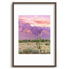 83 Oranges Cactus Sunset Recessed Framing Rectangle