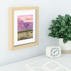 83 Oranges Cactus Sunset Recessed Framing Rectangle