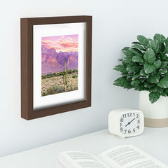83 Oranges Cactus Sunset Recessed Framing Rectangle