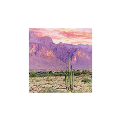 83 Oranges Cactus Sunset Art Print