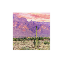 83 Oranges Cactus Sunset Art Print