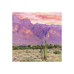 83 Oranges Cactus Sunset Art Print