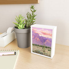 83 Oranges Cactus Sunset Framed Mini Art Print