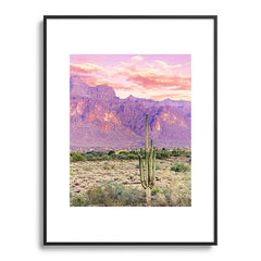 83 Oranges Cactus Sunset Metal Framed Art Print