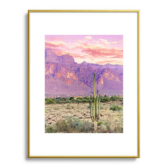 83 Oranges Cactus Sunset Metal Framed Art Print