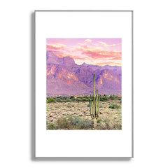83 Oranges Cactus Sunset Metal Framed Art Print