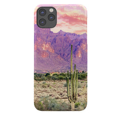 83 Oranges Cactus Sunset Phone Case