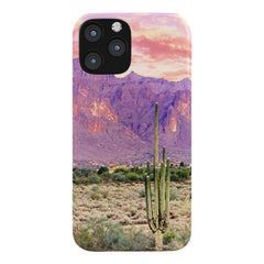 83 Oranges Cactus Sunset Phone Case